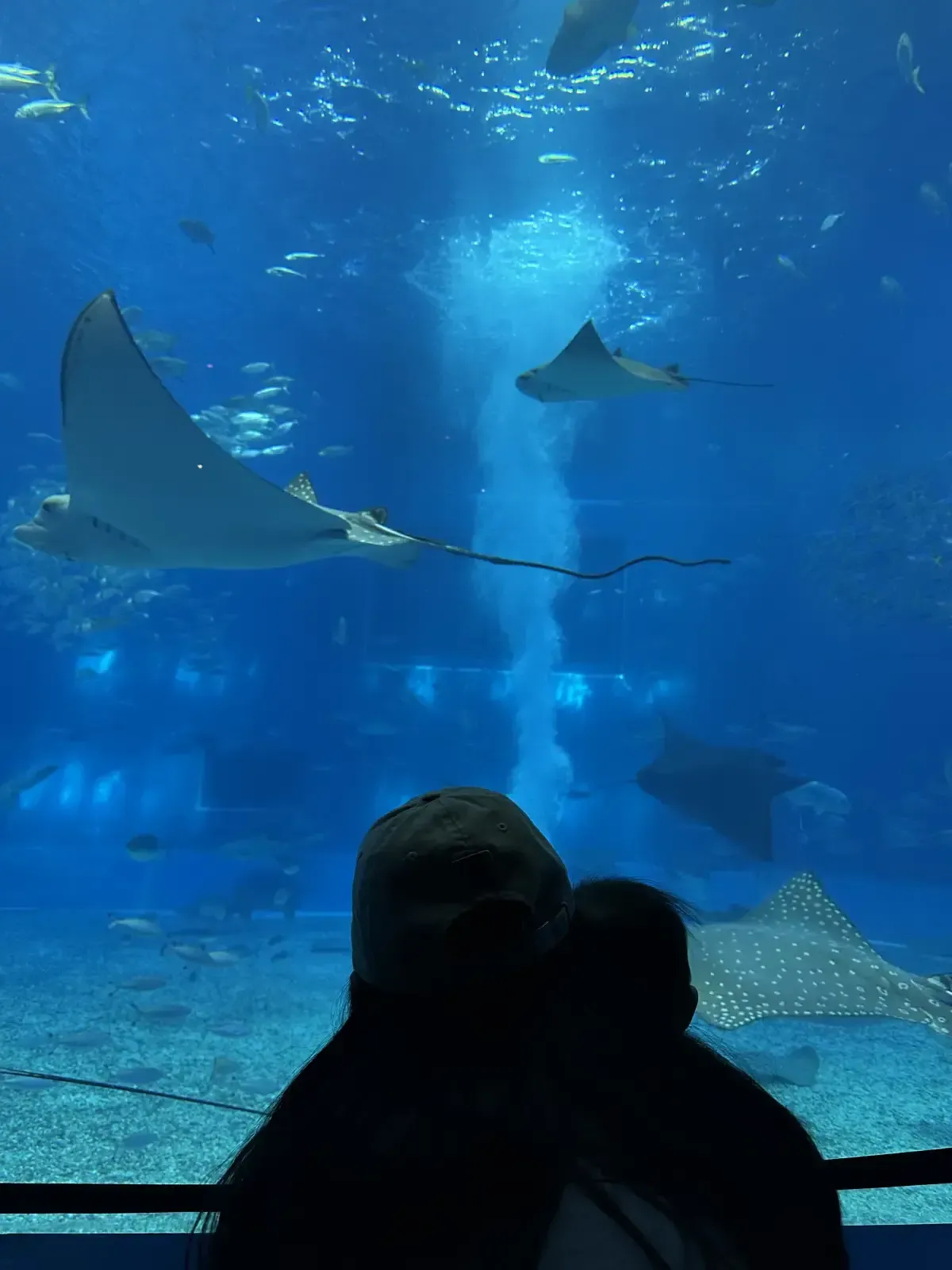 水族館側拍