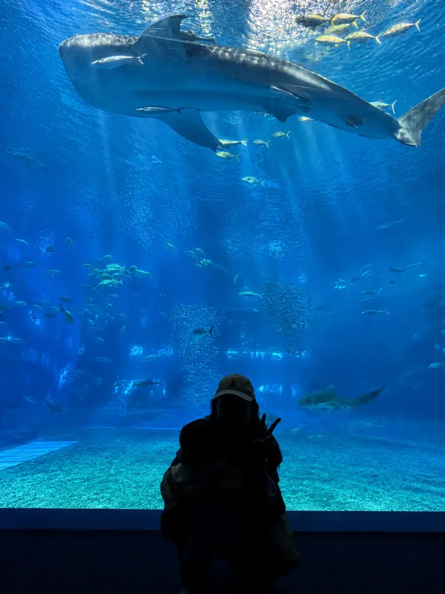 美麗海水族館